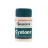 قرص سیستون هیمالیا (قرص Cystone)