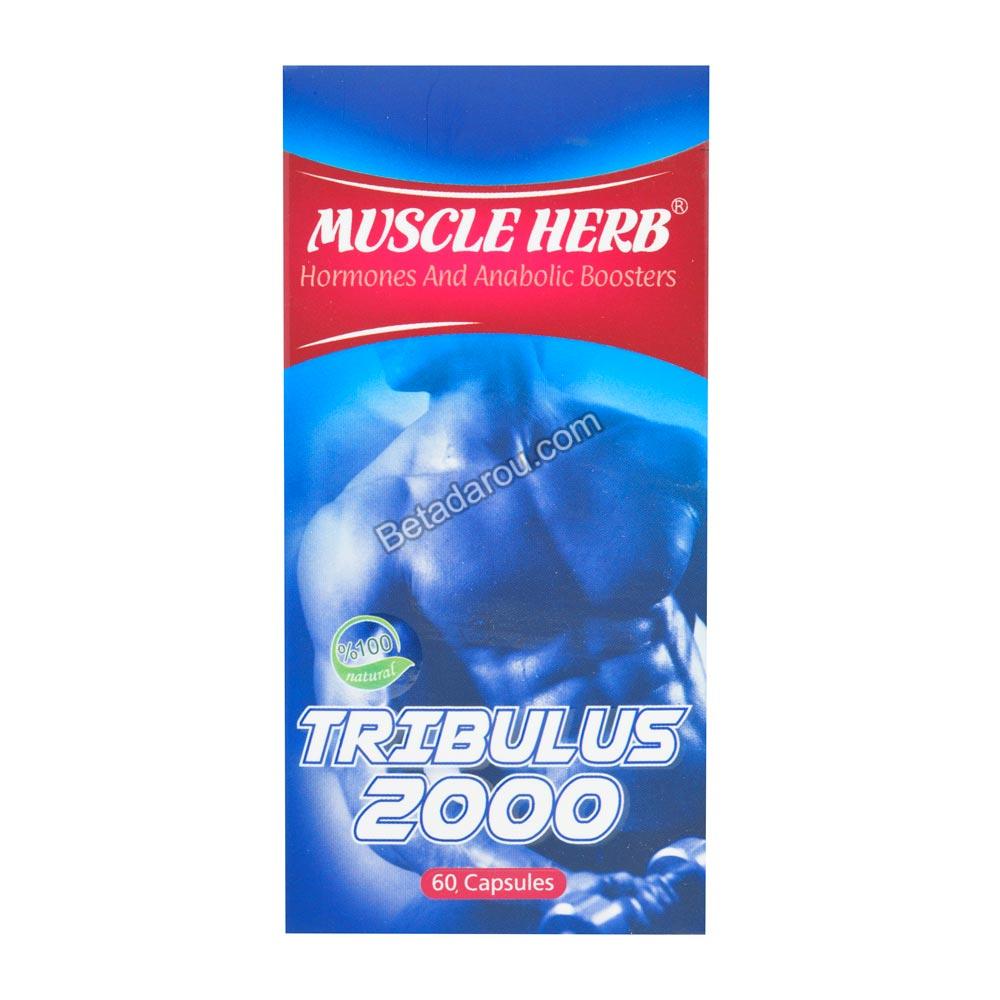 کپسول ماسل هرب بهتا دارو 60 عددی