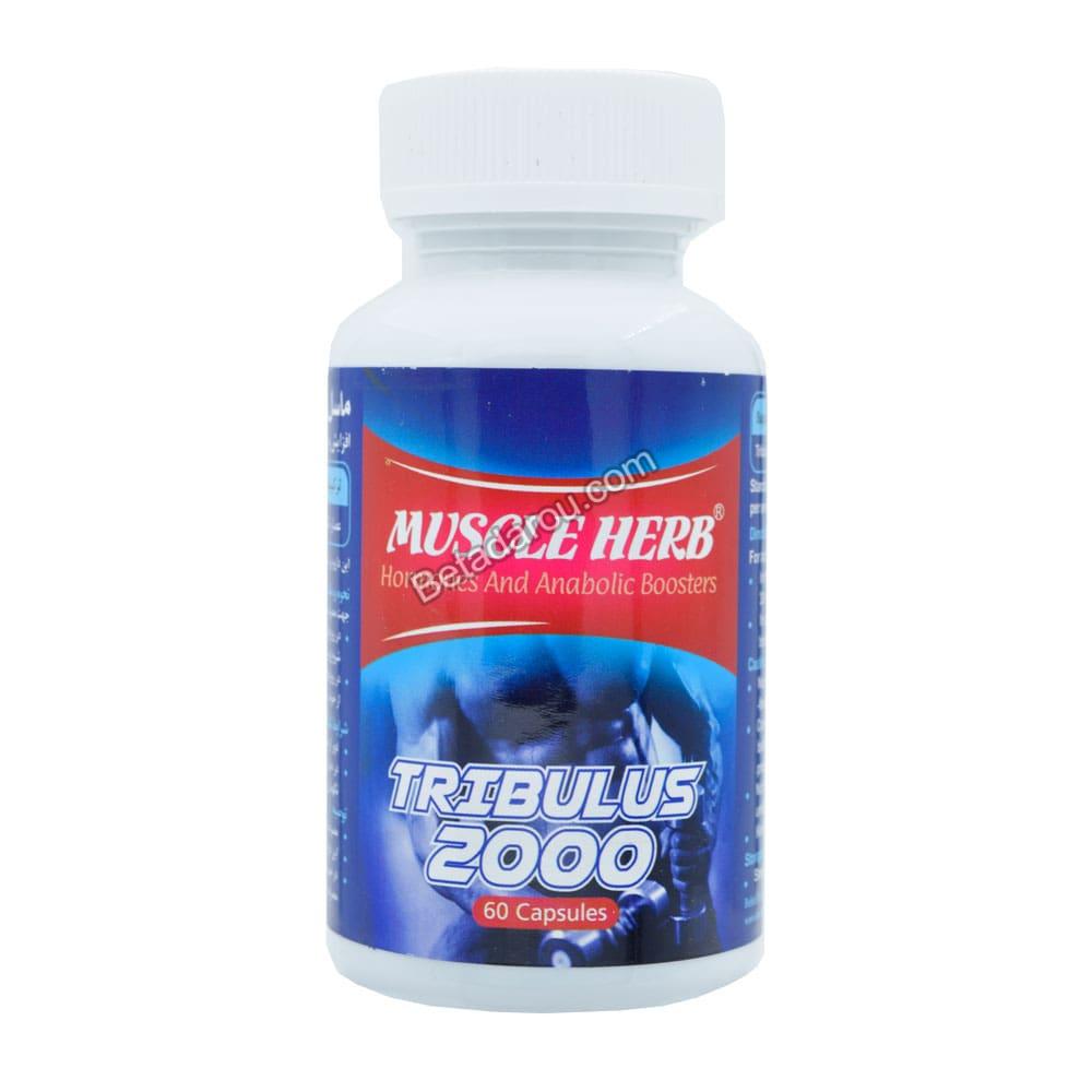 کپسول ماسل هرب بهتا دارو 60 عددی